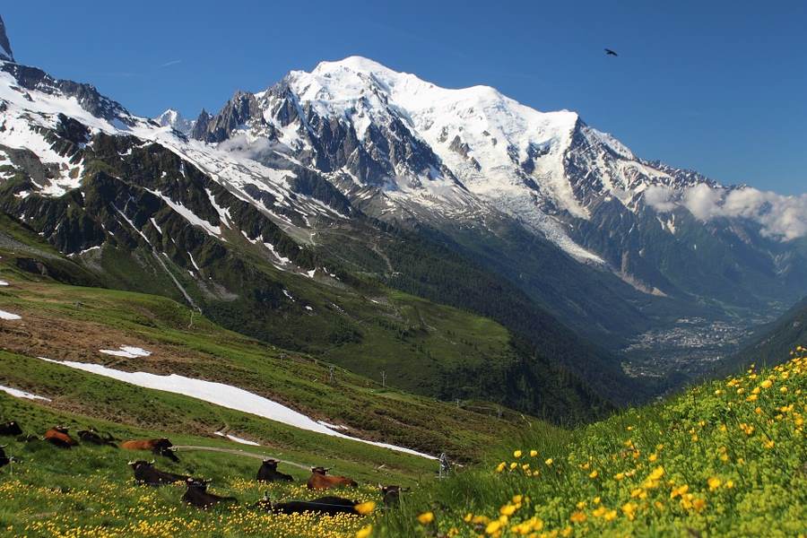 Tour du Mont Blanc